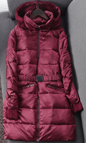 ������ ������� Pellitiere   1890 ���