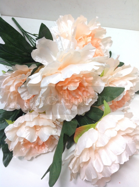 [b]���� �� 10.02. ������������� ����� , ������ �� 8 ��� , ��������� ����� �� 4 ��� .  ����� ��������� �������� �� �������������![/b]