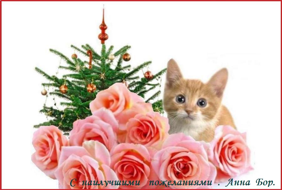 ���  �  ������  ������  ���� !