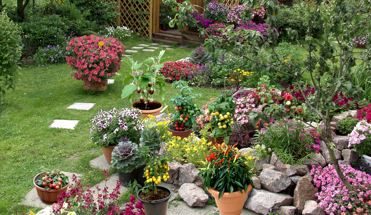 ��� ��� ����, �� ��� ����� ������� ���-�� ���������?