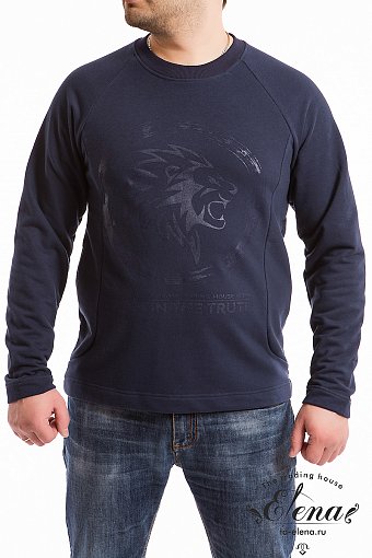 ���� �������. ���������� �������� ��� ���� ����� �� 