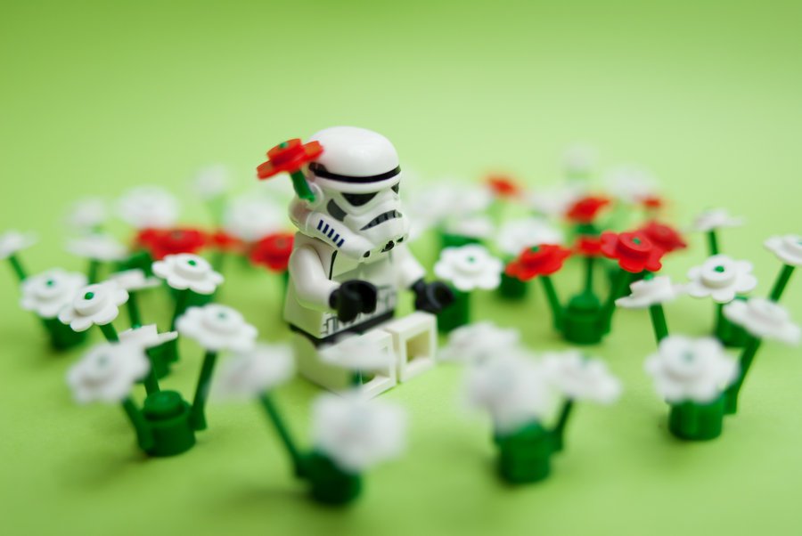  ����� ��\�� �� ����� ������ �����: �����, ������,����, ����� ������, ���������, ������� ������, ��������� ������, �������� �����, ����� �����, ��������, ���������, ����������, ����� �����, �������