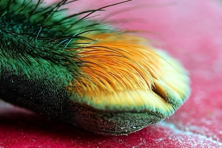 ������ ������ �����. ������� ��������, ������� ����� � ����������� �����������, �������� ������� ��� ������. ������. ������. �����.