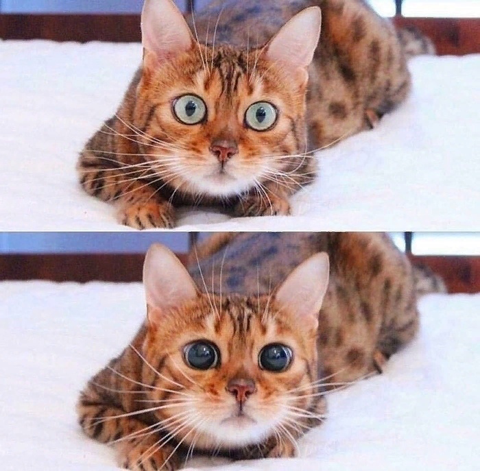 ����� ������� ���������