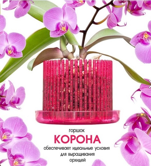 ���� �������. ������ ��� ������� � ������! ������������ ������ �� �������������, ����������, ������� � ������ �������, �����, ����������, ������ ��� ������� � ������, ��������� ��� ����!