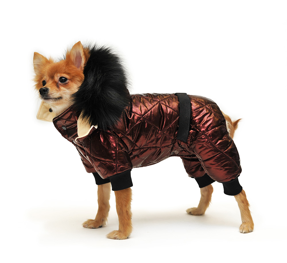 [b]���� �������.���� 23.01.������ �� 30 �� 70%%%%���������� ����������� 40 �����!!!.������ � ����� ��� ������� -�*���*����.���������� ��������.��������, ������,������� ������ ������,�������,�����,������ � ����� �������.����� ��������� + sale.�1.[/b]