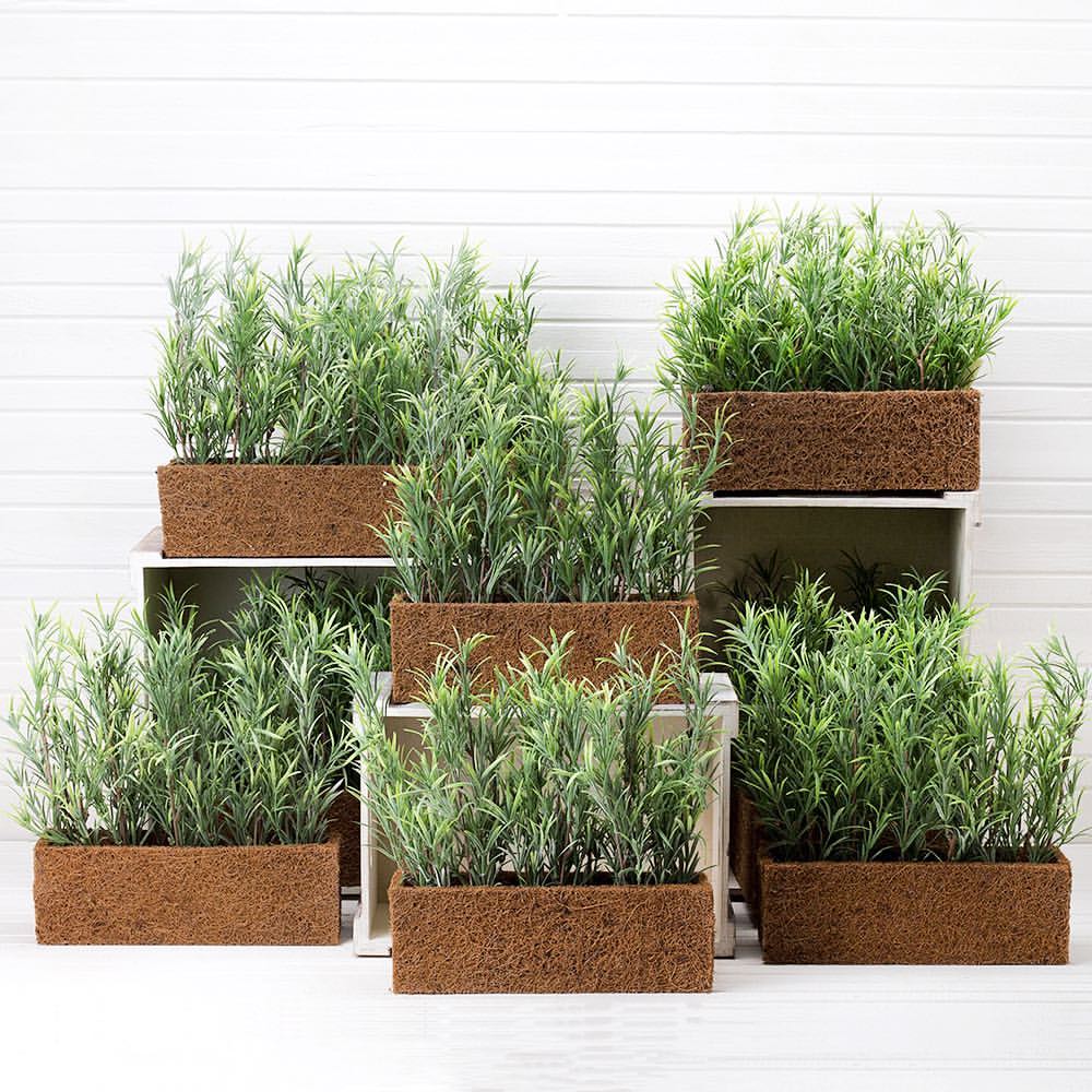 ������������ ������� �� ����� ������. ������ ��� ������ � ���������� ���������, ����������� ������������� �����, �������� � �������! ������� 2.02.