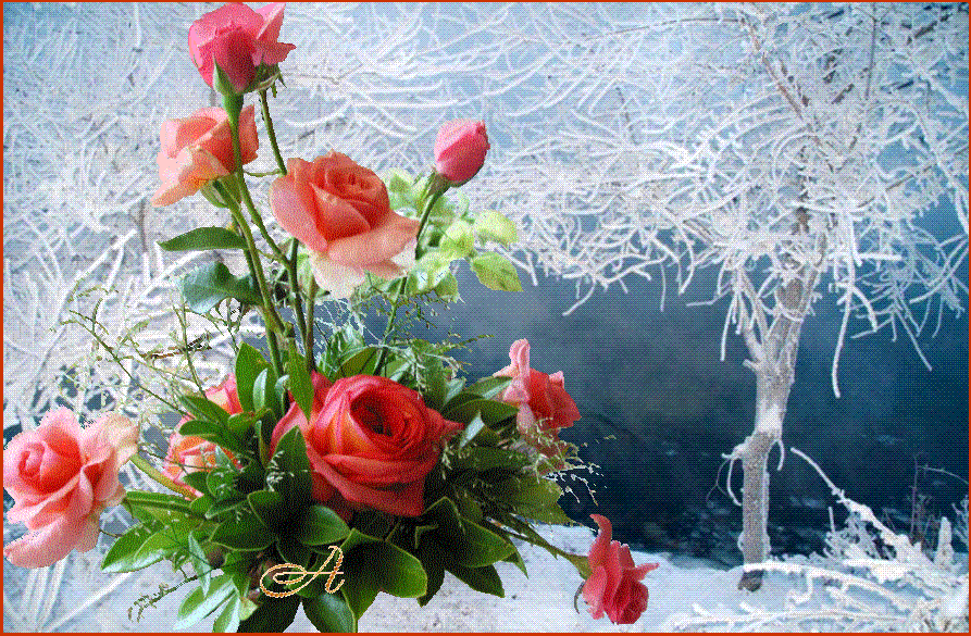 ������� �o �����������. ������������  ��� ! ����� ���  ��� !