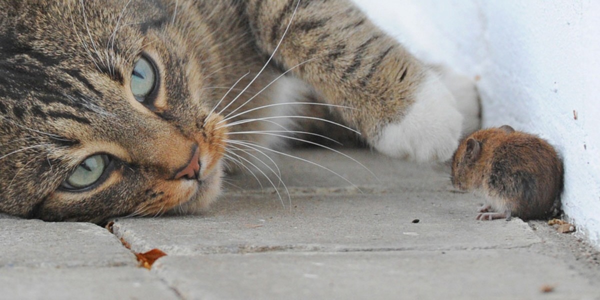 ���� �� 08.02.19� ����������� � ������������. ���� 1.