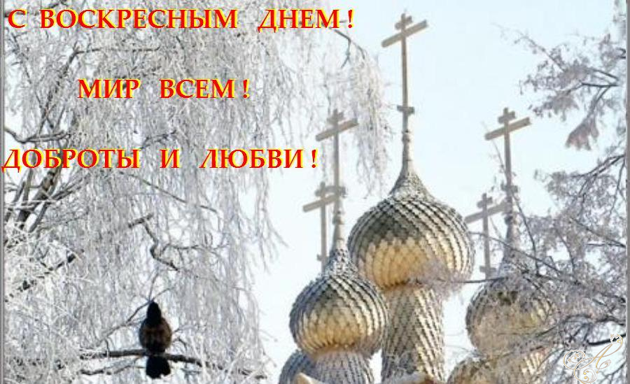 ��� ��� !   �����   �  ������  ������� !