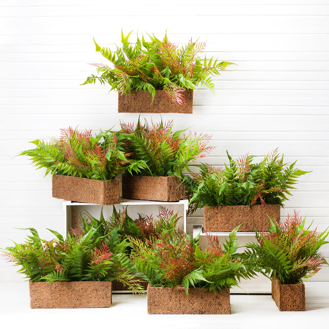 �������� �����������, ���� ������� �� ����������� �� ��������)