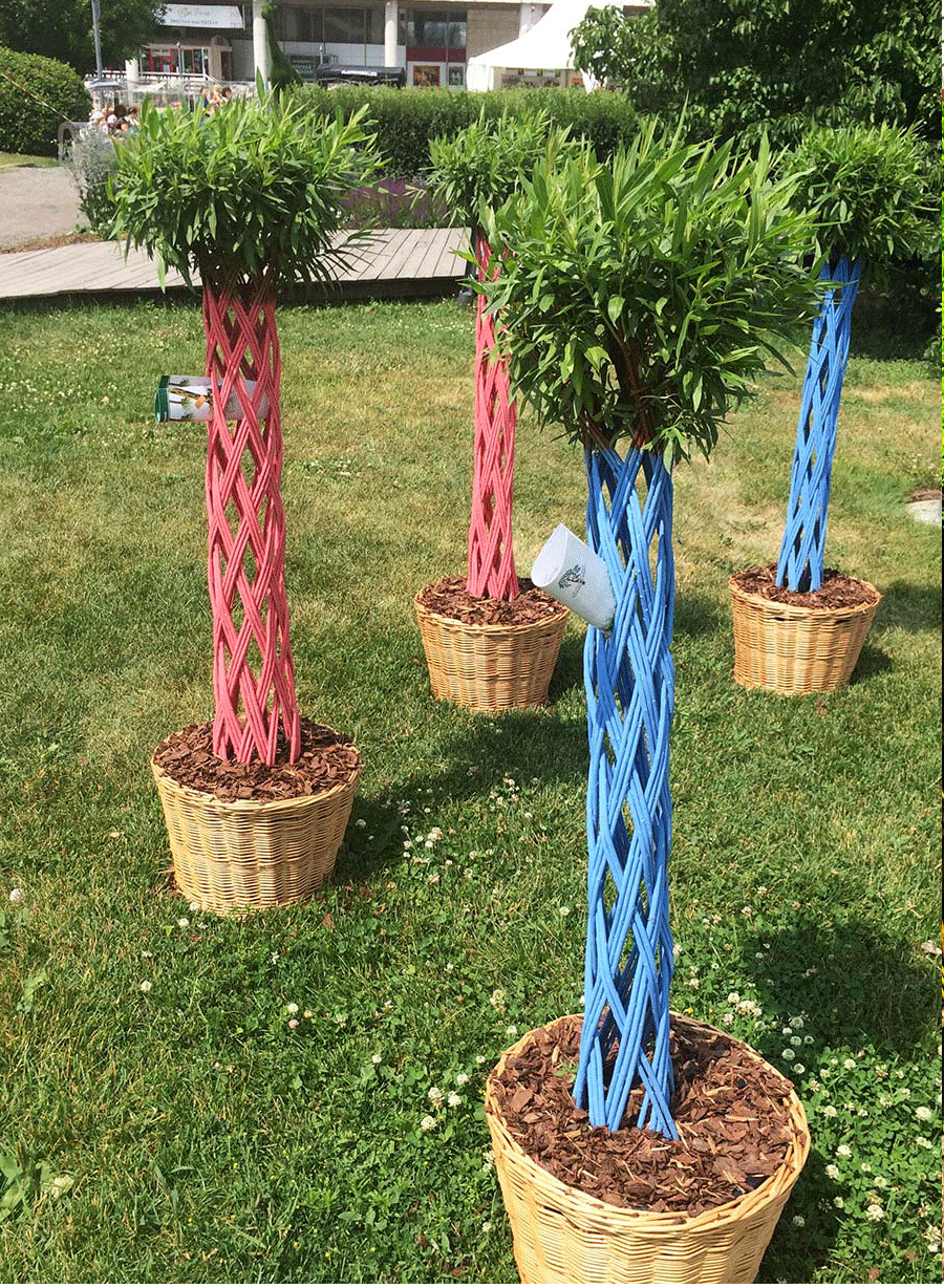 ���� �������. �������! ���������-�������� ���. ������� ���� � ������� ���� �����. ���-�� ����������! ��������� �� ����� 2019�