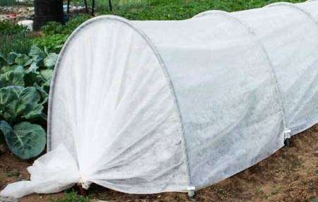 ���� ������� �� 05.03 �������, �������, ��������� �����, �������� ��������, ��������� ������ � �� �� ������������� �����*��