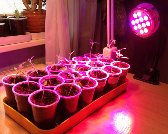 ���� �������. ����� � ����������� ��� ��� ��������, ������ � ��������� �������� � ��, ������, � ��� �� ������ �������� ��� ���� � ���� 1/2019