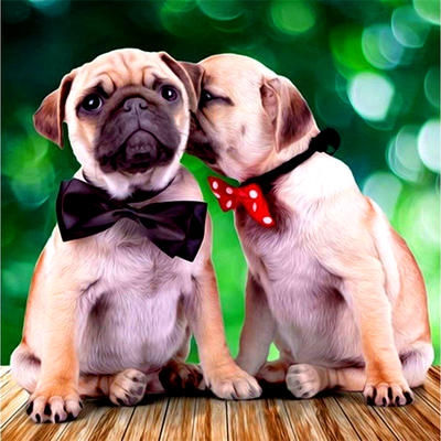 ���� �� 06.02.���������� ���� ����������! �������-��������� �� ������� �� ���� �� 310 ���.����� ���������� ����� 1000 ����� �������.�������� ������� � ������������.����� 74