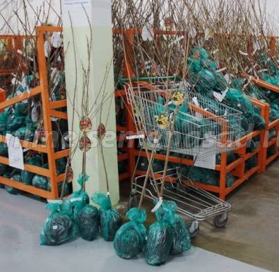 ���� ������� �� 20.02 - ���o��r�� �o�ck - �������� ������� ������� � ��� - ����� 2019