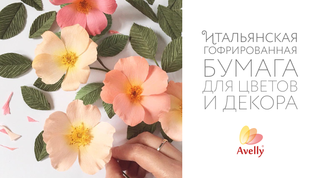 ���� ������� �� 16.02. ����������� �������- �������, ��������, �����, �����... ������ ��� � �������- ���� ����������!!! ���� ����������� ��� �����.