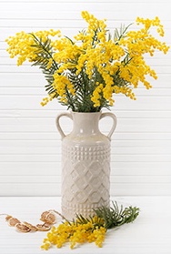 ����������, ������������ ����������� ���������� �������� ������!