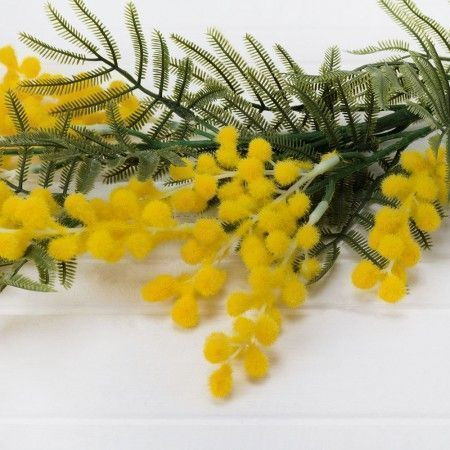 ������ ��������, �� �������� �� ���������, ����������!!!