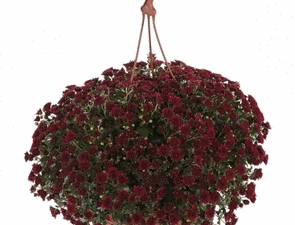 ���� ������� �� 24.02. ���������� �����������, ������, ���������, ��������������� �����. ��������� �� ���� 2019. ����� 2.