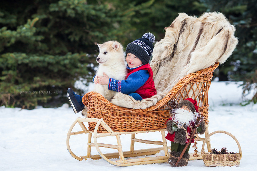 ������������ � ������� �����! ���������� ���� ����������! ��������� 1800!