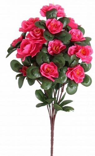 ���������� - ���� �� 21.02 ���������� �������. ���������!!! ������� ��������� � �������� ���������- �����!!!! ���� �� 5 ���!!!