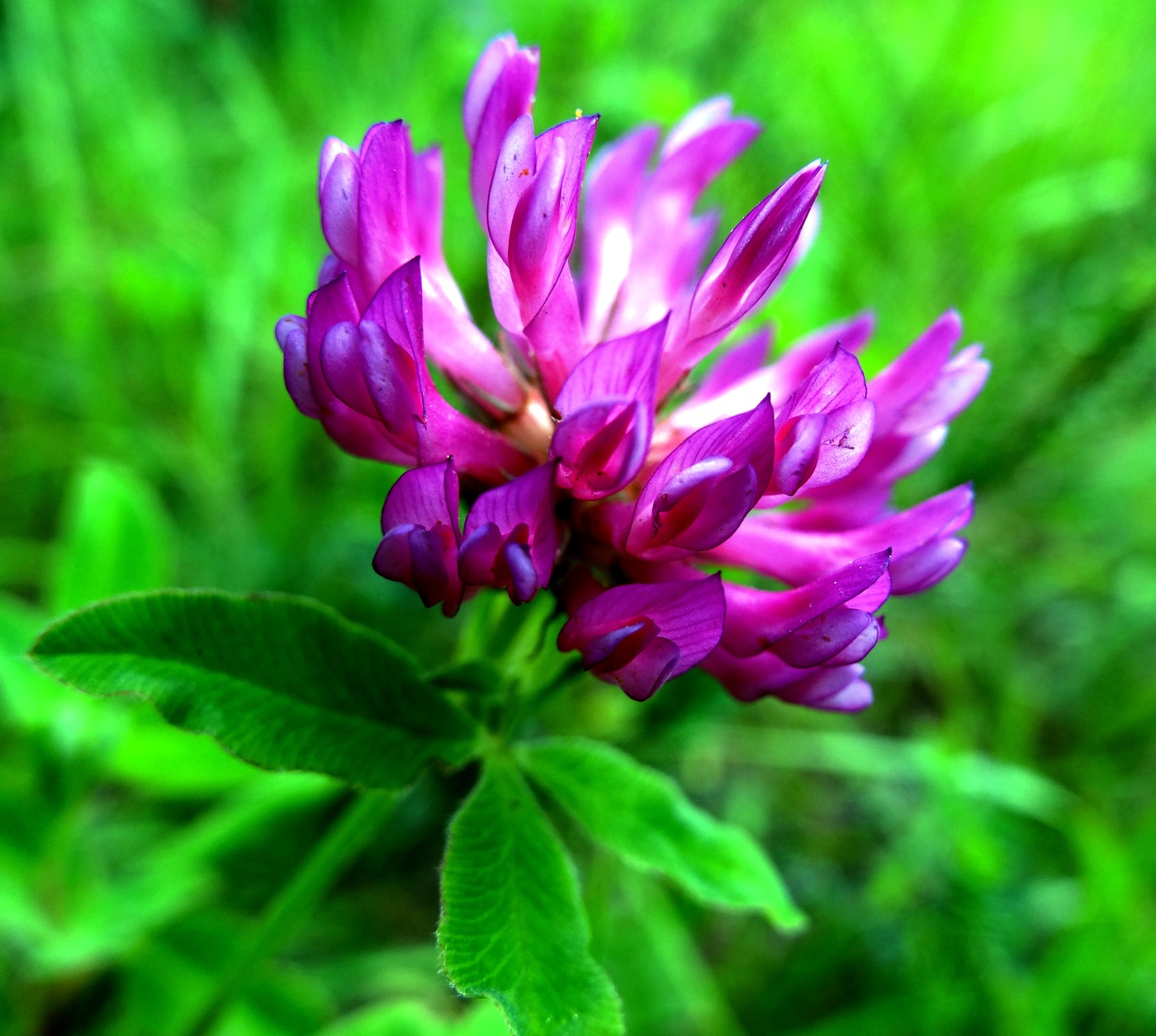 ���� �������.���������� ���� ��� � �� ��������� � ������. ������ �����,�������� ������ .�������, �������. ��� �����.�����-47