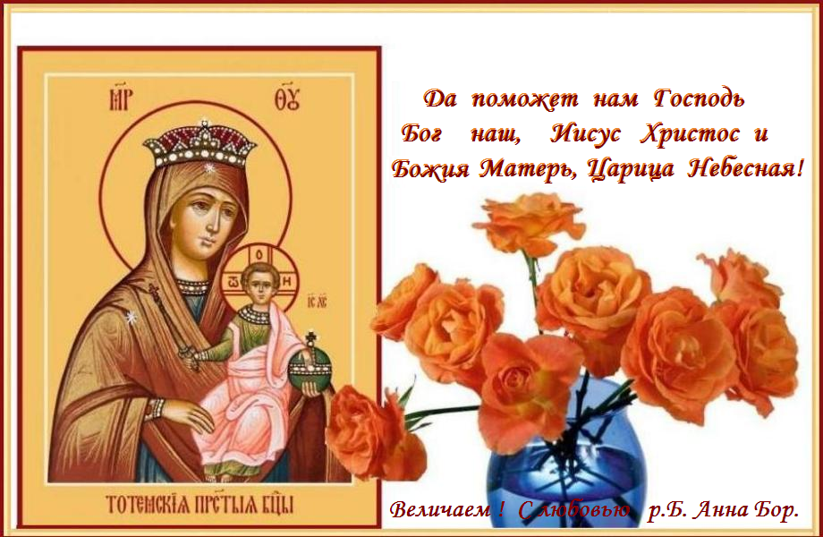 10   �������--------  ����    ������   �����������-���������  ����� ������ ������ (XVI).