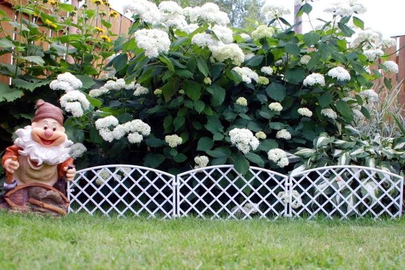  ���� ������� �� 03.03. ������ ��� ���� � ����. ������� ������� �� �������������. �������������, ������� �������, ��������, �������� ���������, ���������� ������������, �������, ����� � ���������, ����������� ������ � ���� �� ������� � �� Serinova.