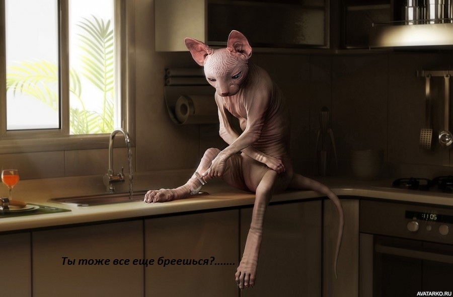 Elos-��������, ��������������. ���� �������� ����! ���������. ��.������������� 