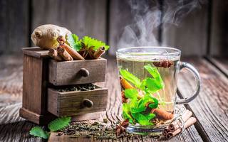 ������������ ��������� "��������"