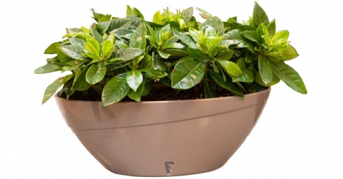  ���� ������� �� 03.03. ������ ��� ���� � ����. ������� ������� �� �������������. �������������, ������� �������, ��������, �������� ���������, ���������� ������������, ����� � ���������, ����������� ������ � ���� �� ������� � �� Serinova.