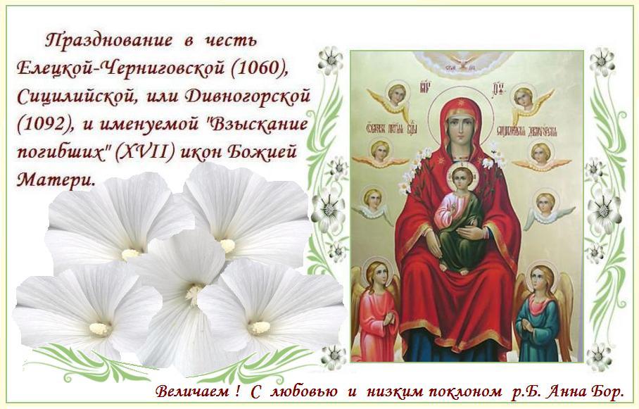 ������  �  ��������������  ���������  ���������� !