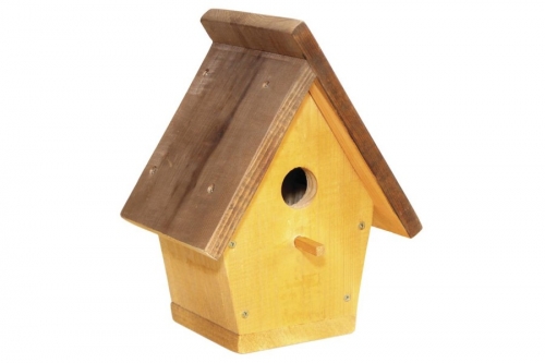 ���� ������� �� 03.03. ������ ��� ���� � ����. ������� ������� �� �������������. �������������, ������� �������, ��������, �������� ���������, ���������� ������������, ����� � ���������, ����������� ������ � ���� �� ������� � �� Serinova.