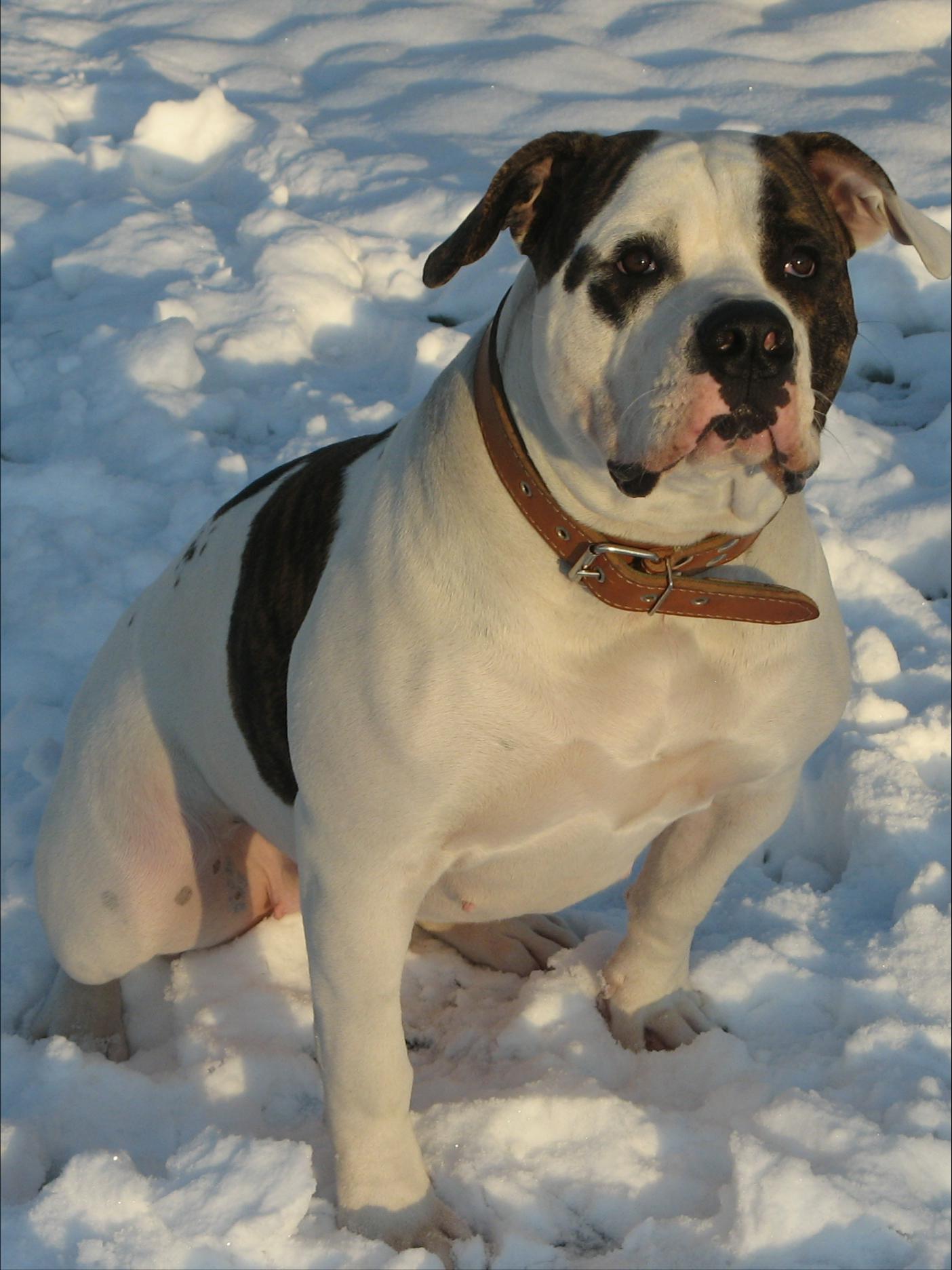 ��� ������! ��� ����!