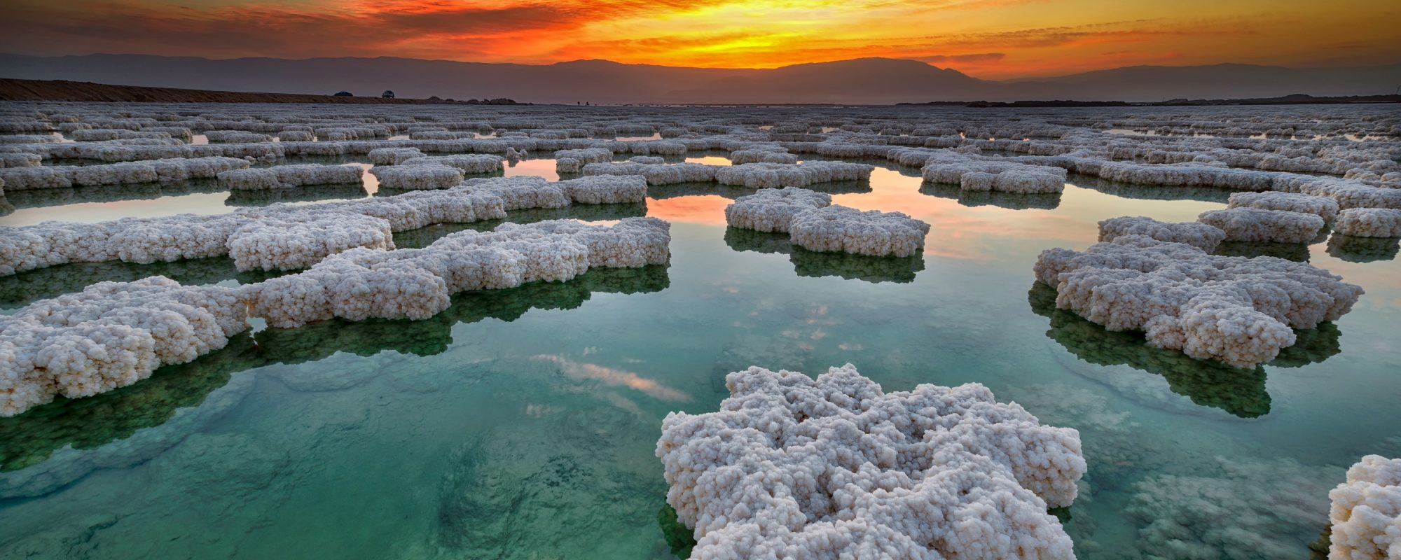 ���� ������� �� 28,02. Nature & Luxury — ���������������� � ������������������ ��������� ��� �����!. ����� -1