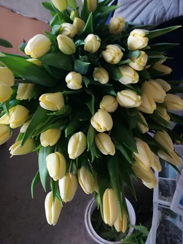 ���� �� 01.03. ���� �������� � 8 �����! ������� � ������ ������������ �����.������ ��������! ����������!