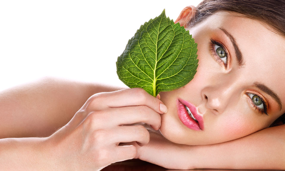 ����������� ��������� ���������� ������� ������� ������� ������ � EO Laboratorie