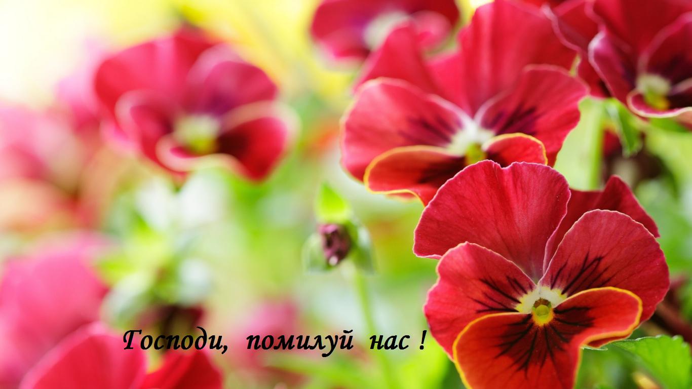 �����   �  ������  ������� !