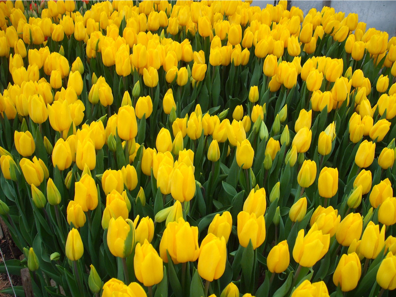 ���� �������.��������-����! �������� � 8 ����� ��� ����� ���.���� �� 37 ���. ����� 3!