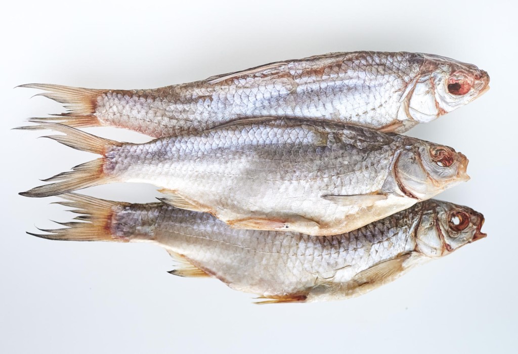  ���� ������� �� 4 �����. ��� ��� ���������! ����� �������! ��������� ������������ ����� � ������! ���� ����� �������! 3-19 