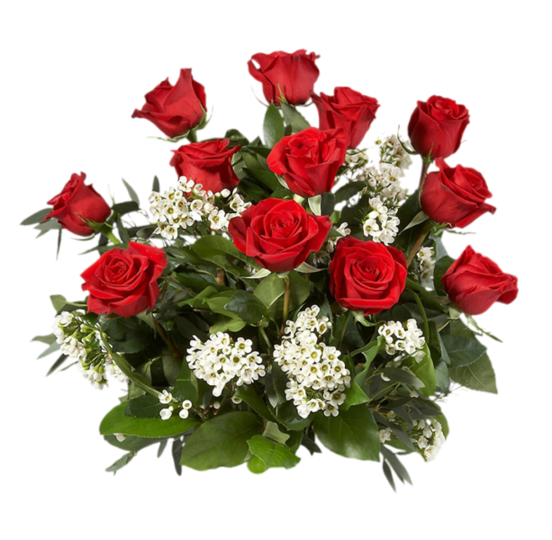 ���������� ���� � ���� ��������� ���������! ����  ������  ���� !