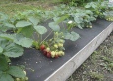 ���� ������� �� 05.03 �������, �������, ��������� �����, �������� ��������, ��������� ������ � �� �� ������������� �����*��