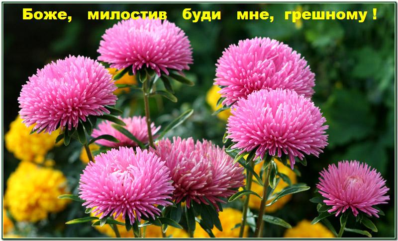 ������� ����, �������, �� �������� �� ���� ���.  �� ������ ��� ������� , � ���� ,����� � ������� ��������!