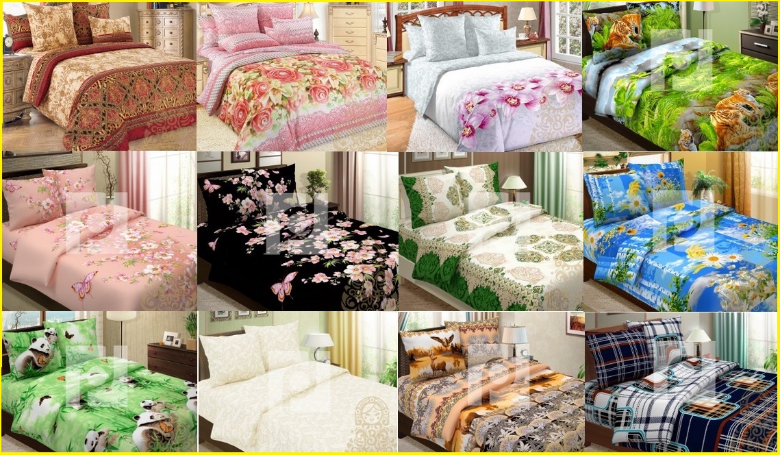  ���������� �����. �����, ����, ������