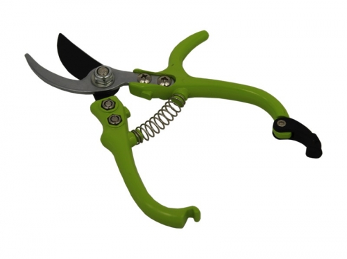 �� 03.03. ������ ��� ���� � ����. ������� ������� �� �������������. �������������, ������� �������, ��������, �������� ���������, ���������� ������������, ����� � ���������, ����������� ������ � ���� �� ������� � �� Serinova.