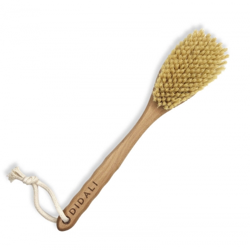 ������������� �������� ��������� DIDALI