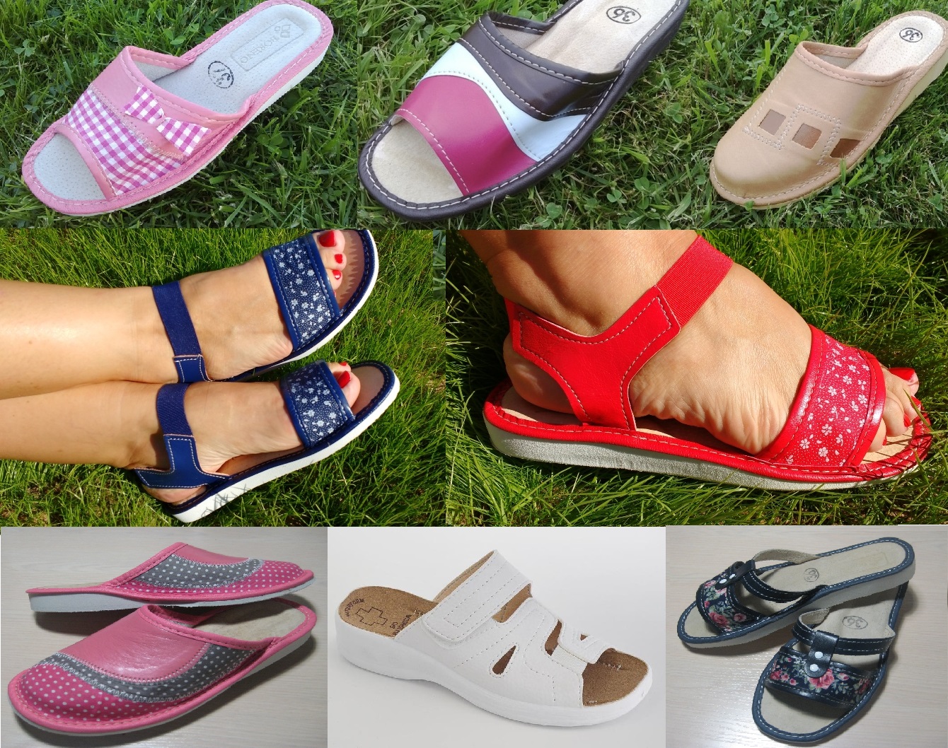 ����, ��������, ������� �� ����. ��� �����.