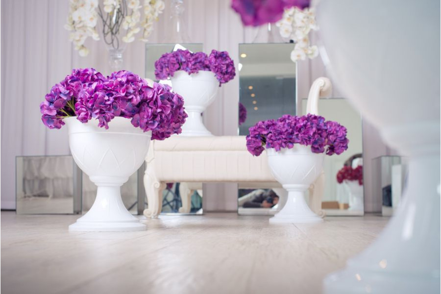 ���� ������� �� 03.03. ������ ��� ���� � ����. ������� ������� �� �������������. �������������, ������� �������, ��������, �������� ���������, ���������� ������������, ����� � ���������, ����������� ������ � ���� �� ������� � �� Serinova.