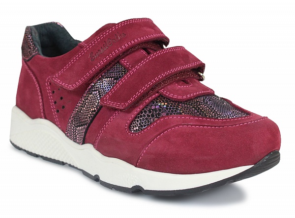 ���� �������. ������ ���� (Sursil Ortho) - ���������� ����� ���� ������ ��������� 40%. �������- ����� ���������. ������ ���,���������, ����� ��� ������. ������� �������� �����. ����� 6/2019